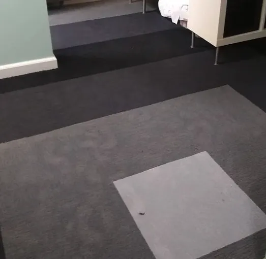 Slide of Real Restoration