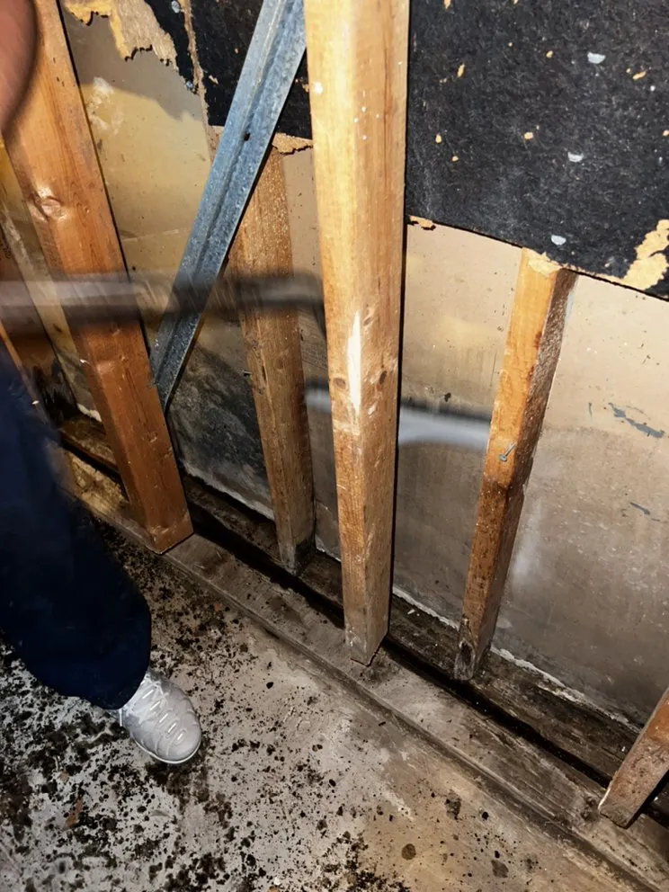 Slide of Real Tme Mitigation