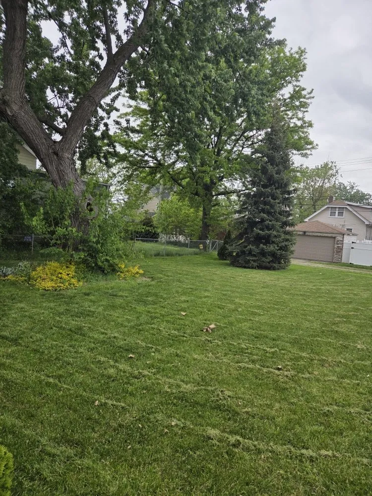 Slide of Realistic Living Solutions