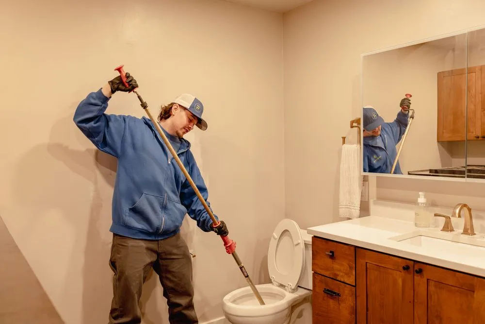 Slide of Realistic Rooter