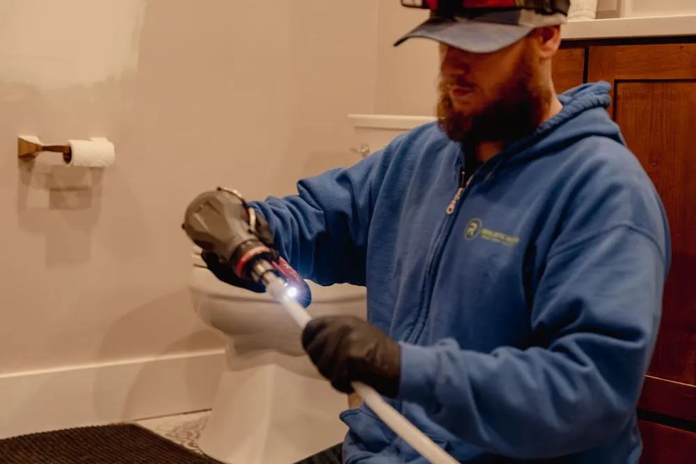 Slide of Realistic Rooter