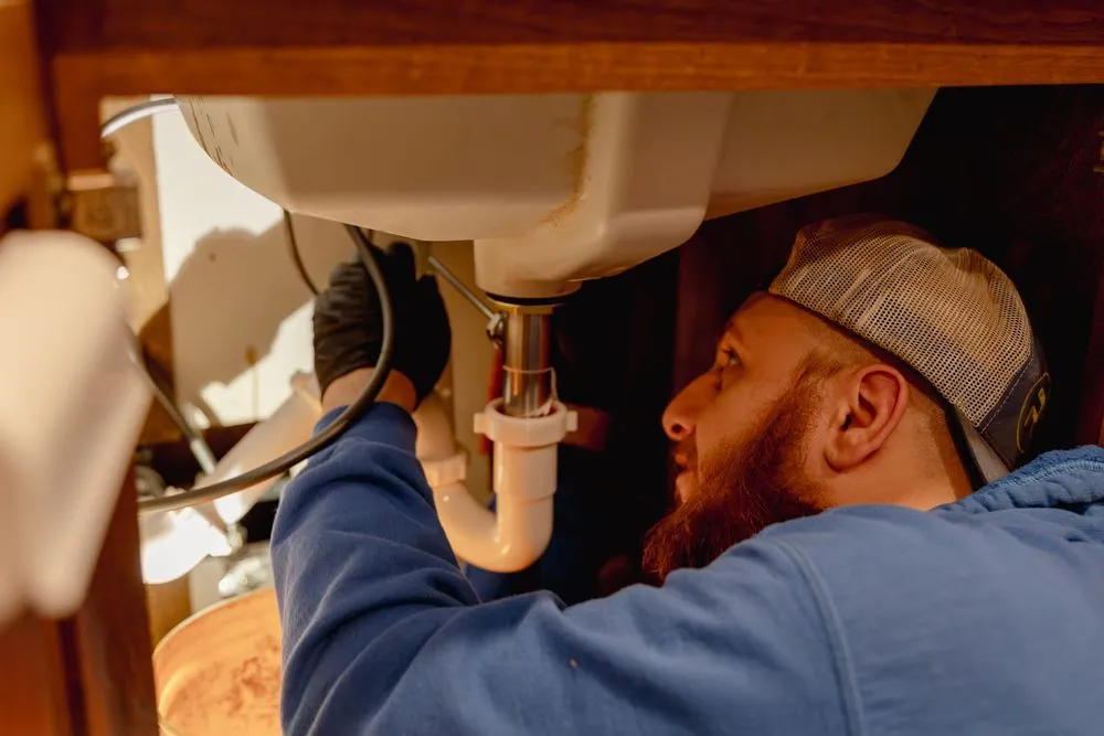 Slide of Realistic Rooter