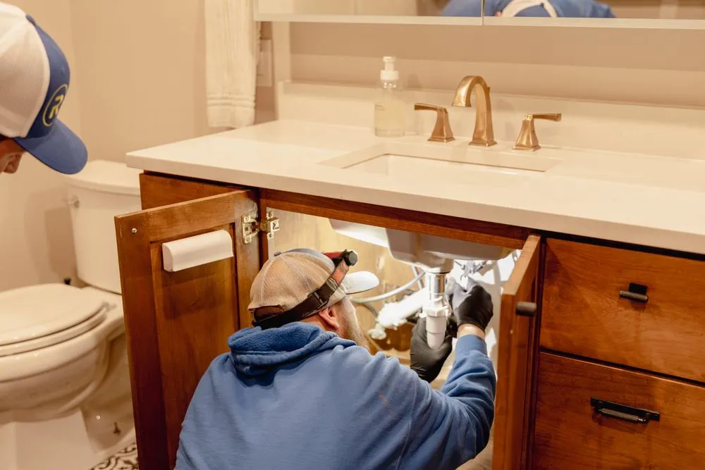 Slide of Realistic Rooter