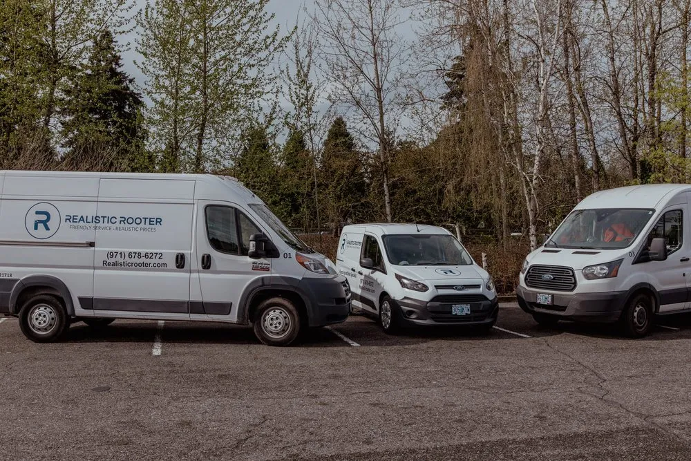 Slide of Realistic Rooter