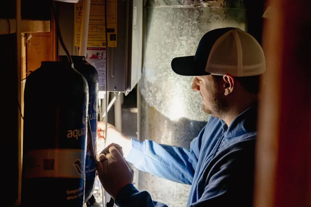 Slide of Realistic Rooter