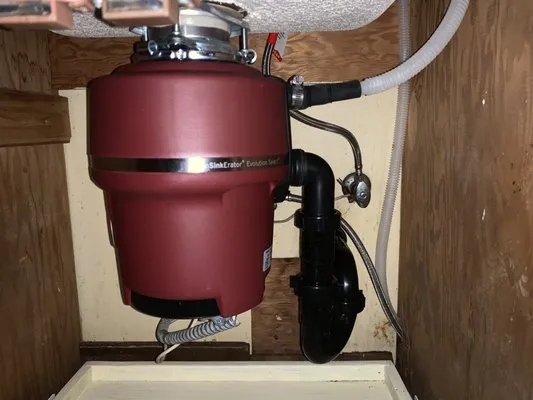 Realistic Rooter Logo