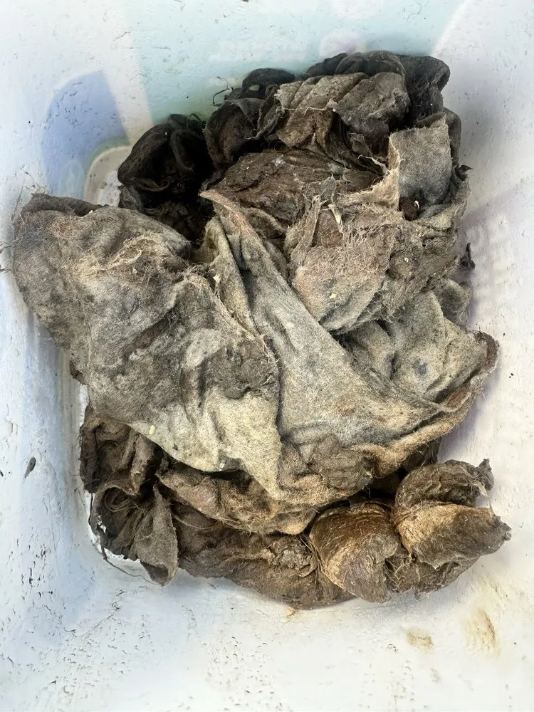 Slide of Reasonable Drain Cleaning