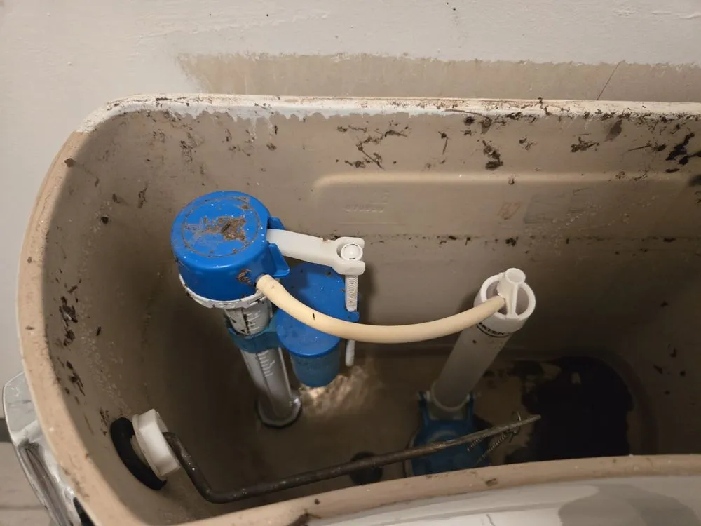 Slide of Reasonable Plumbing