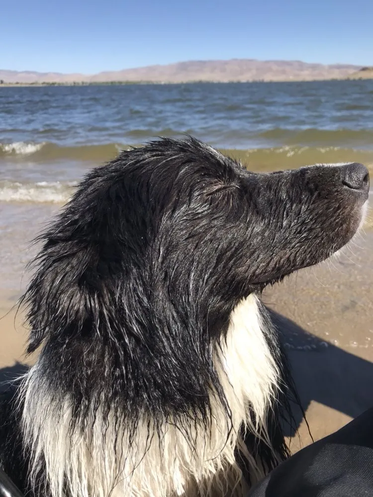 Slide of Red Bear Mechanical