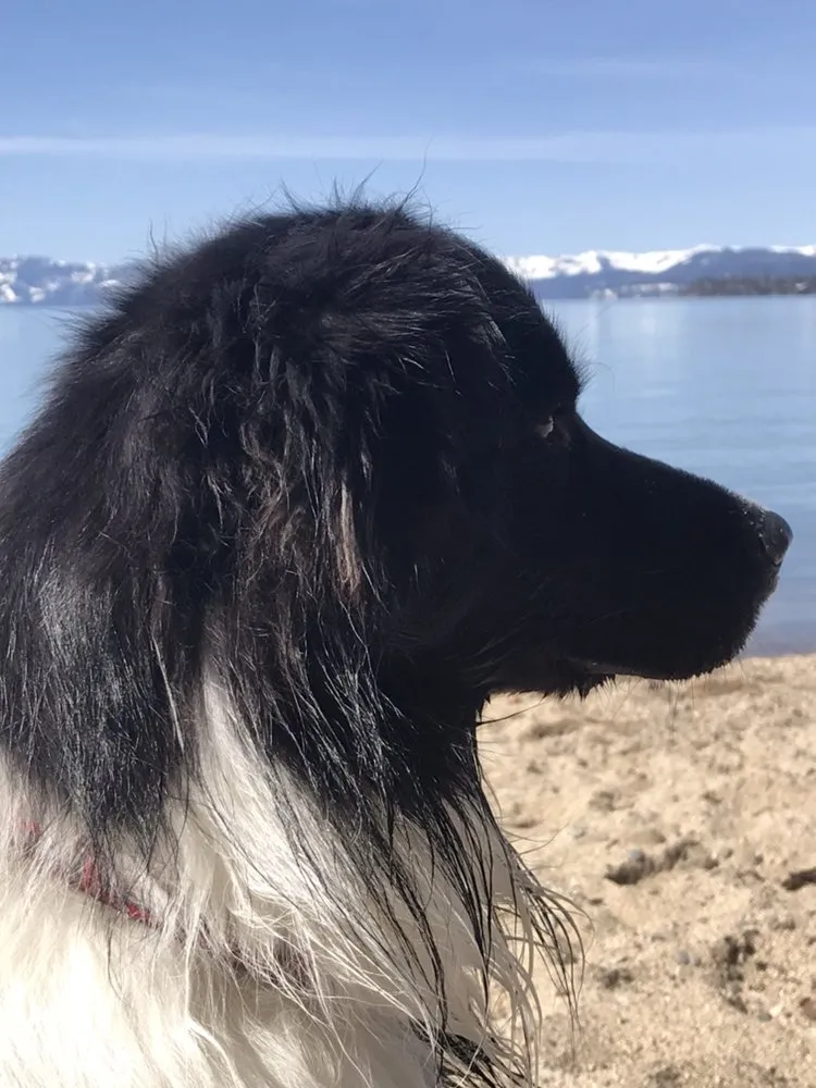 Top-rated leak detection for homes in Carson City, NV by Red Bear Mechanical