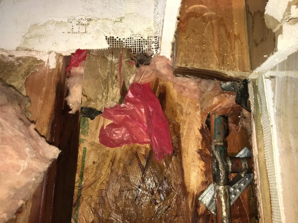 Slide of Red Carpet Plumbing