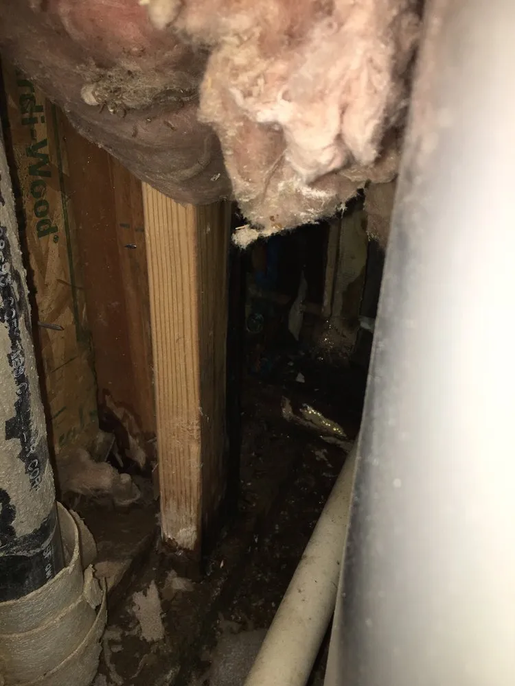 Slide of Red Carpet Plumbing