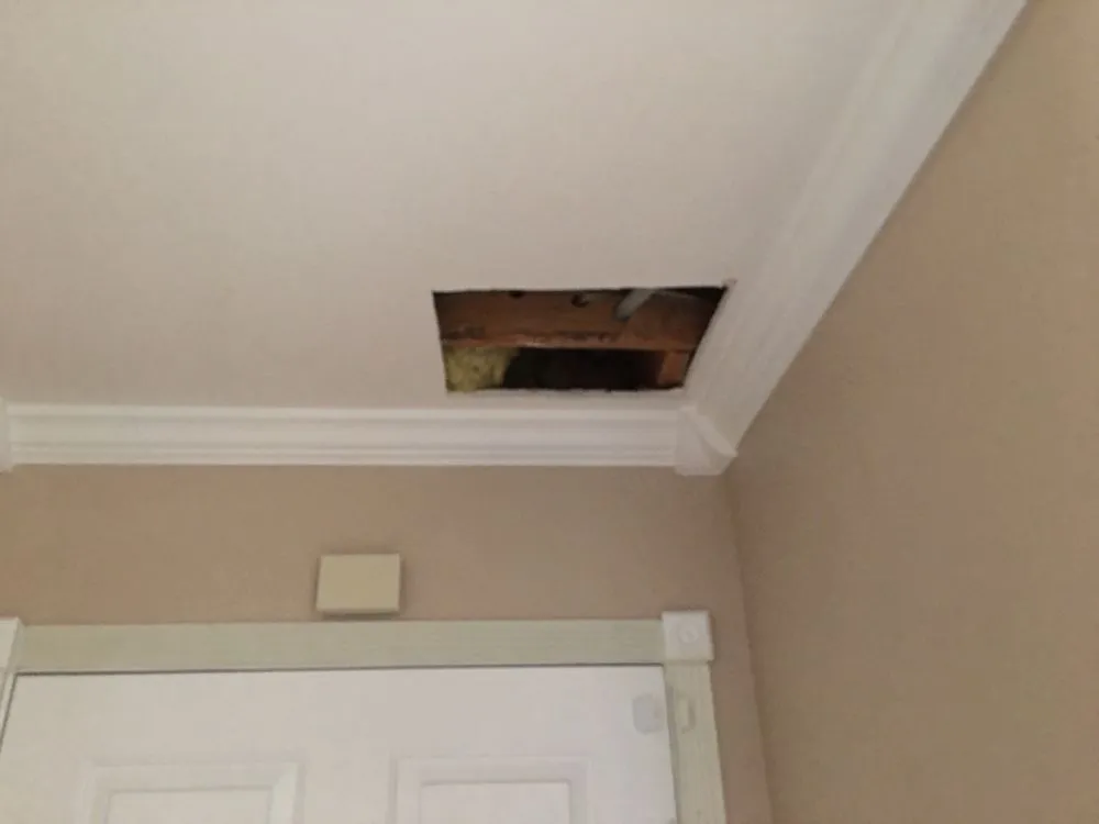 Slide of Red Carpet Plumbing