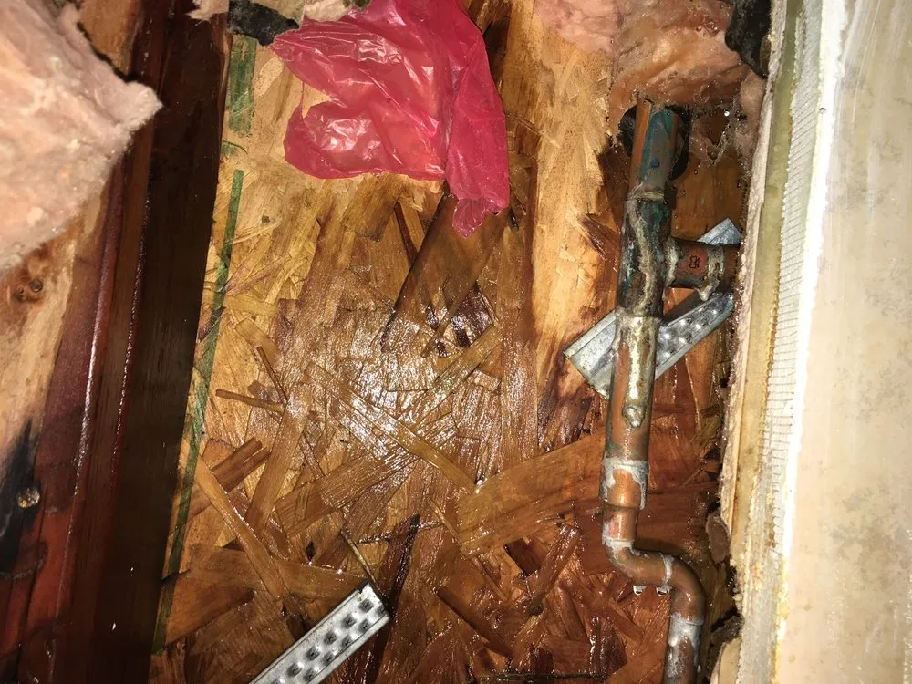 Slide of Red Carpet Plumbing