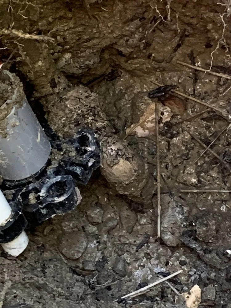 Slide of Red Cedar Plumbing & Drain Cleaning