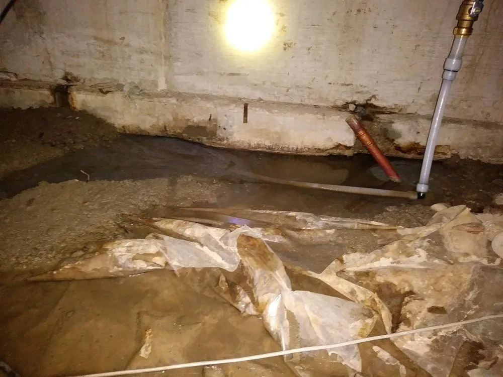 Emergency pipe repair service in Seattle, WA - Red Cedar Plumbing & Drain Cleaning