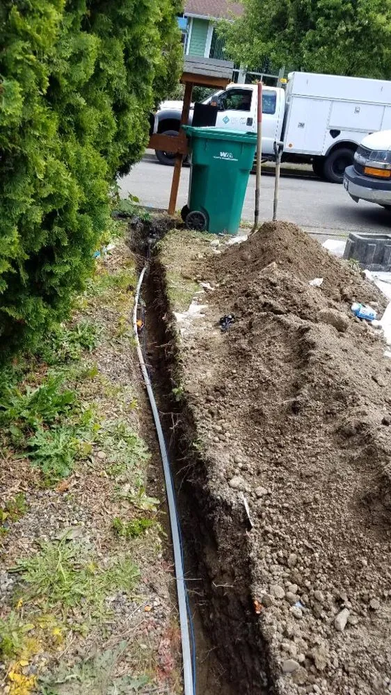 Reliable leak detection service in Seattle, WA - Red Cedar Plumbing & Drain Cleaning