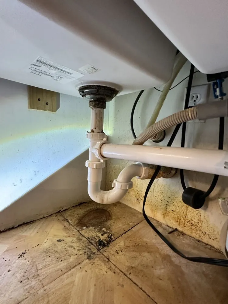 Slide of Red Dog Plumbing