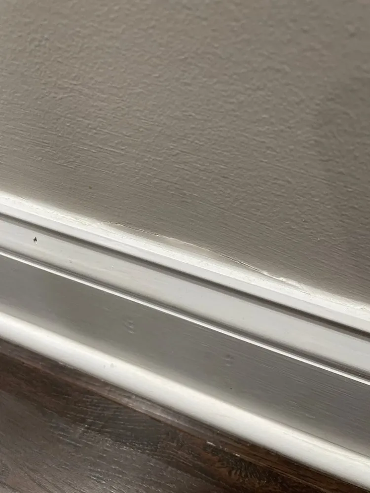 Slide of RED General Contracting & Construction