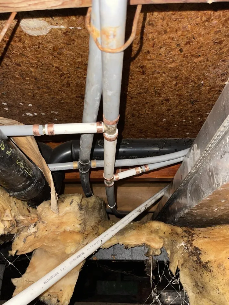 Slide of Red Hot Drain