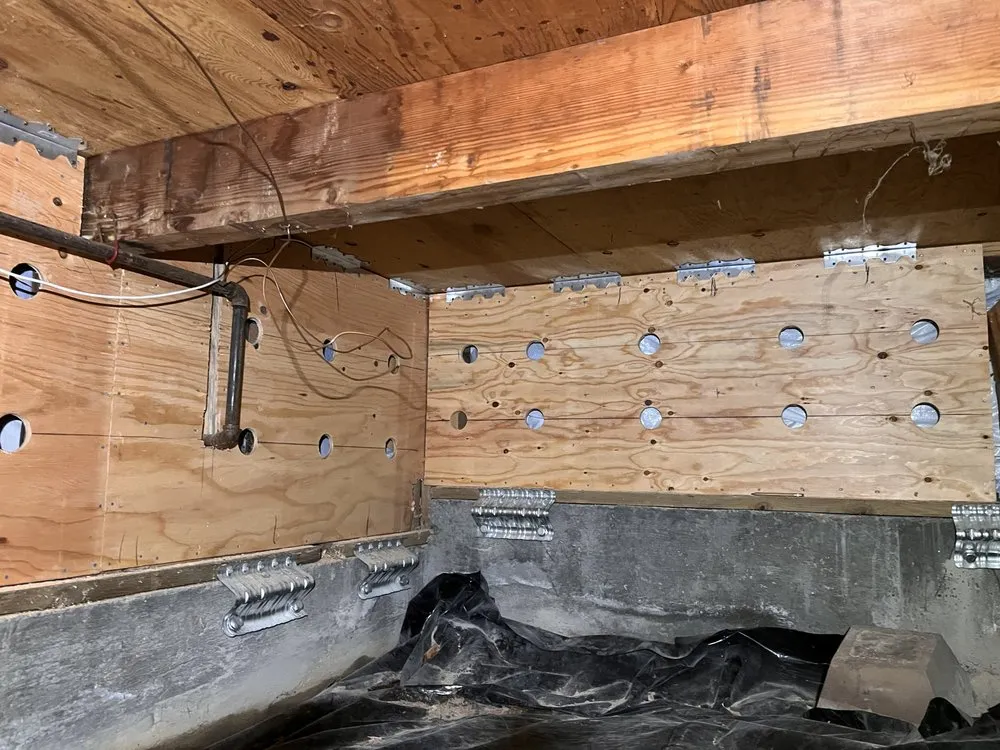 Slide of Red Lake Restoration