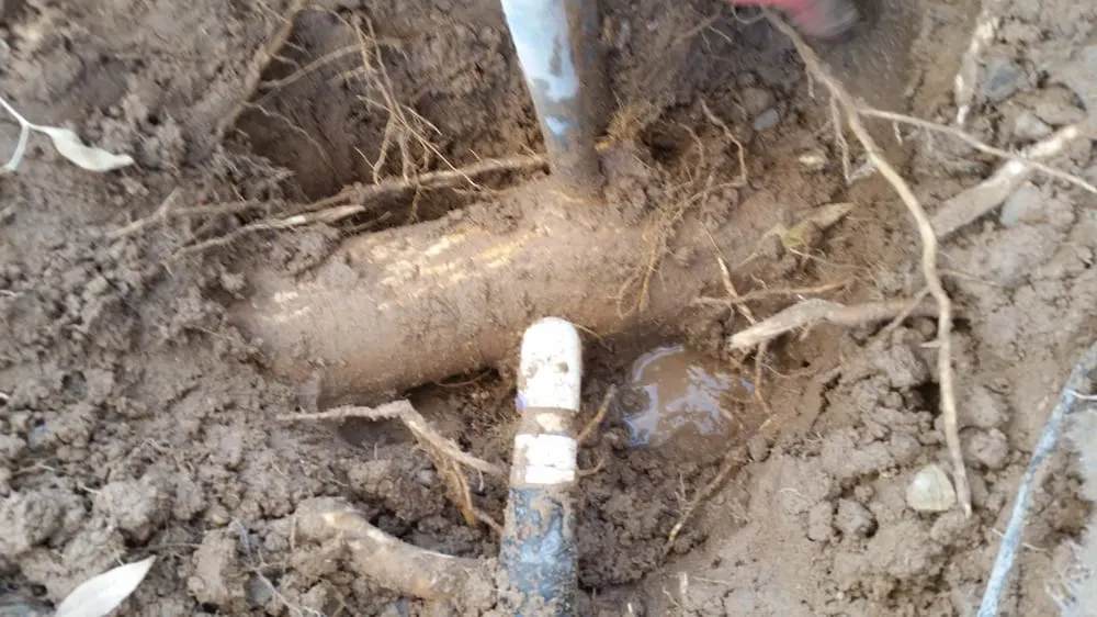 Slide of Red Mountain Services