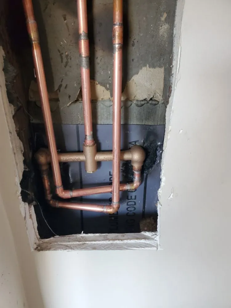 Slide of Red Oak Rooter