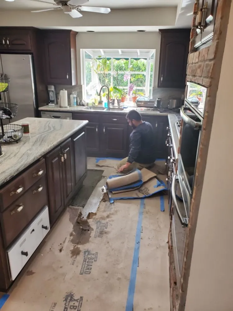 Slide of Red Oak Rooter