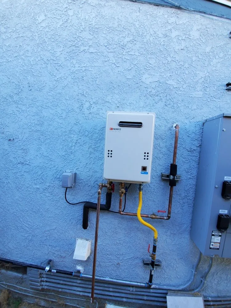 Slide of Red Oak Rooter