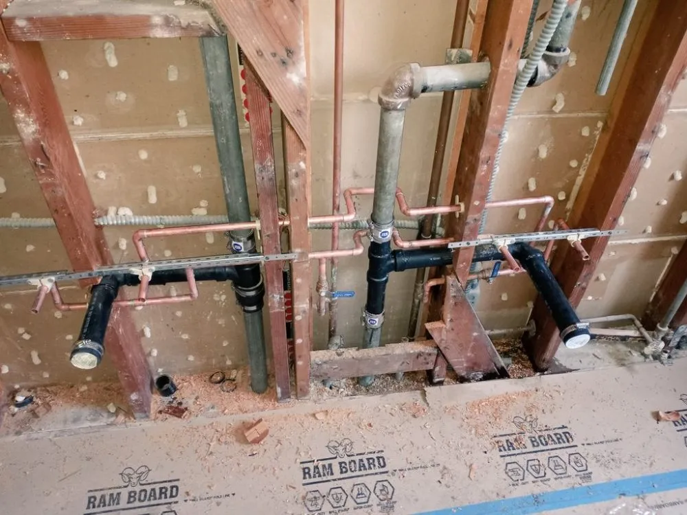 Slide of Red Oak Rooter