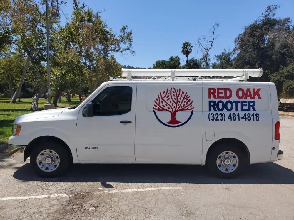 Slide of Red Oak Rooter