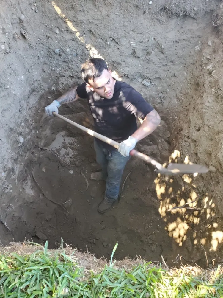 Slide of Red Oak Rooter