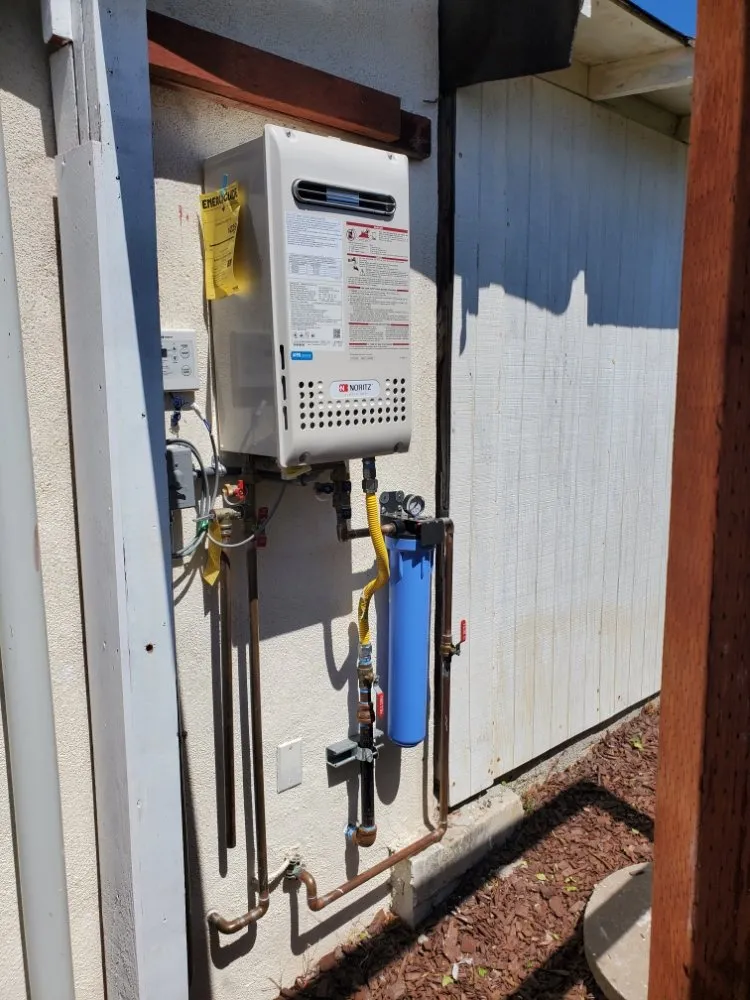 Slide of Red Oak Rooter