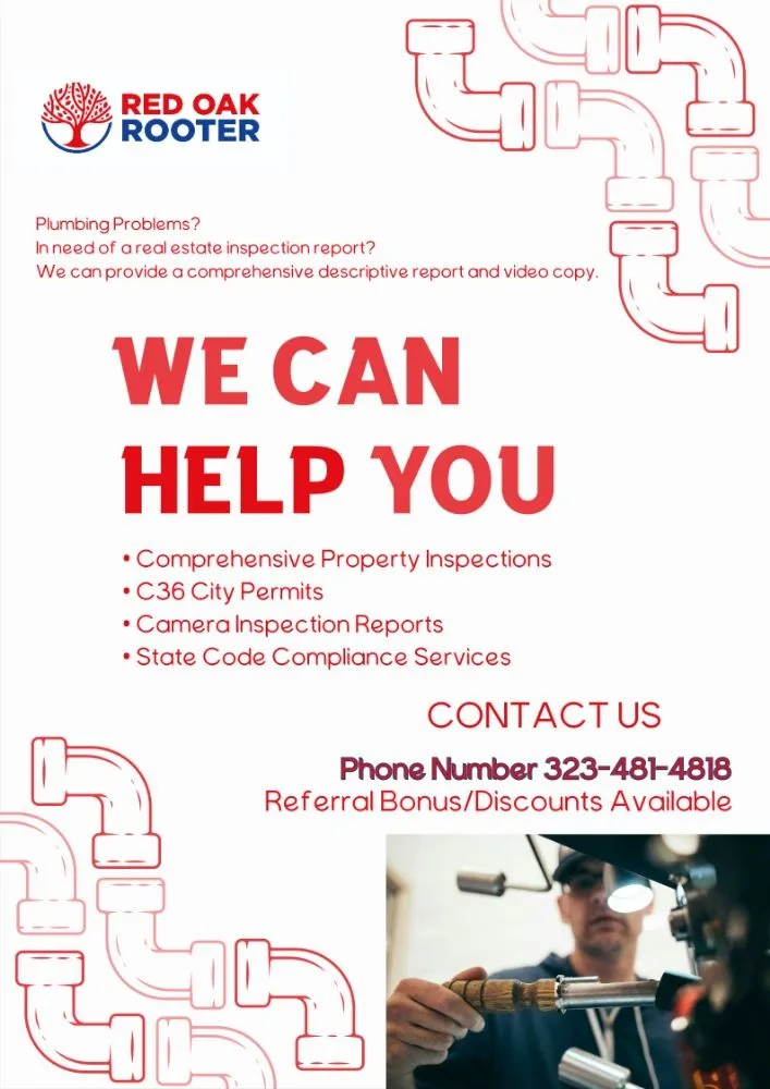 Slide of Red Oak Rooter