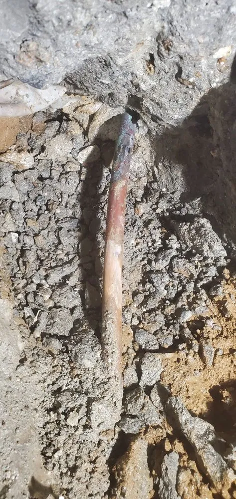 Slide of Red Rooster Rooter