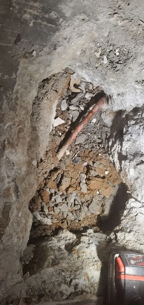 Slide of Red Rooster Rooter