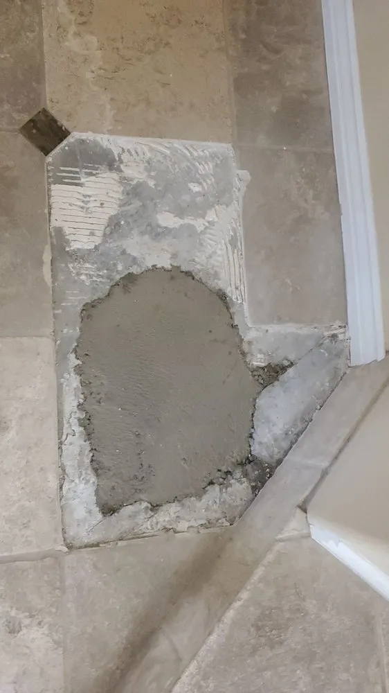 Slide of Red Rooster Rooter