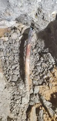 Red Rooster Rooter Logo