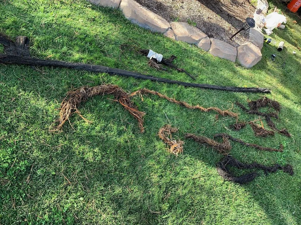 Slide of Red Star Plumbing