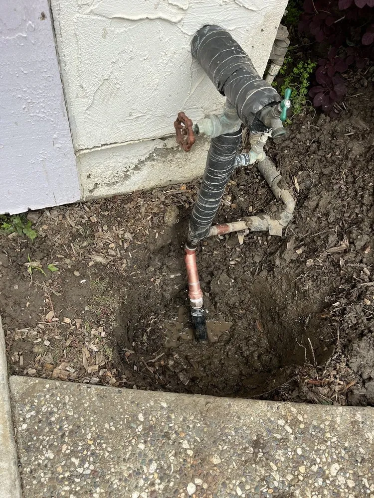 Slide of Red Tulip Plumbing