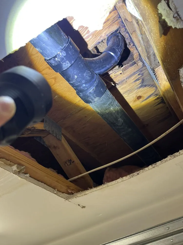 Slide of Red Tulip Plumbing