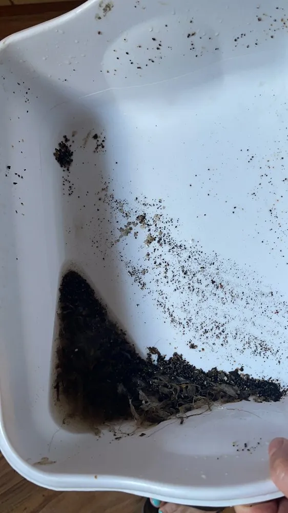 Slide of Red Tulip Plumbing