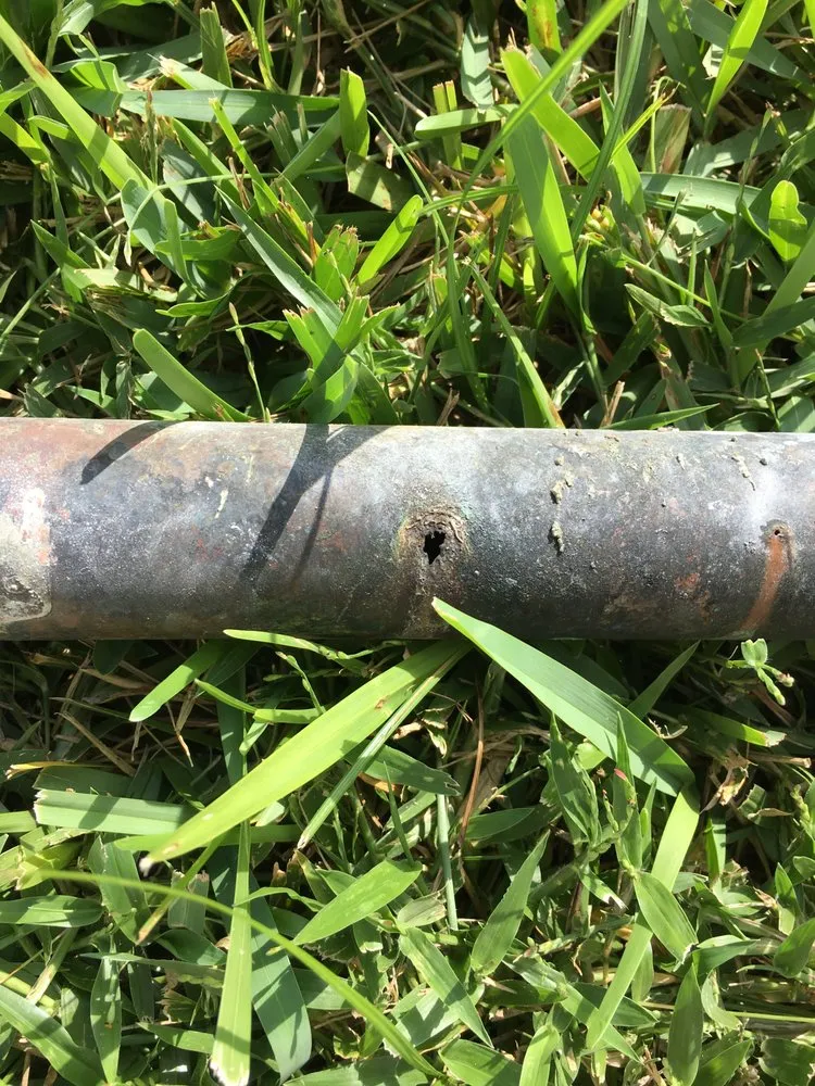 Slide of Reddi-Rooter Plumbing Service, Inc