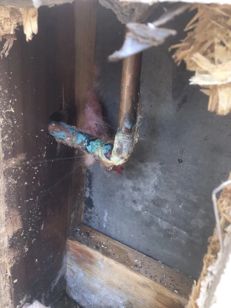 Slide of Reddi Services