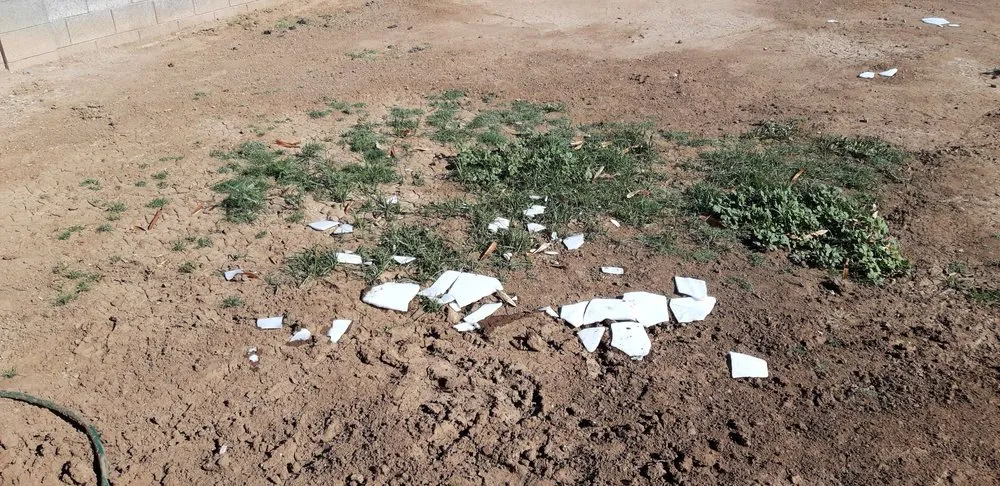 Slide of Reddi Services