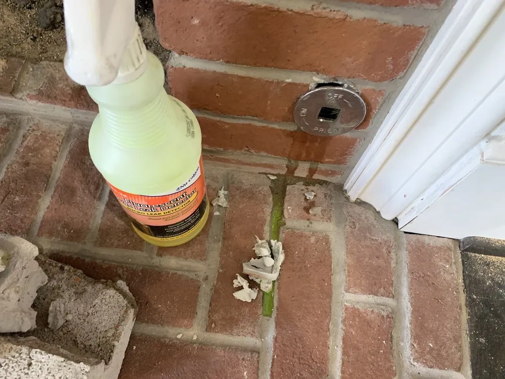 Slide of Reddy Rooter