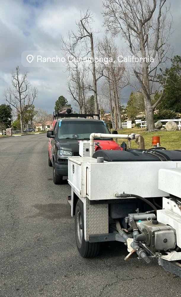 Slide of RedHead Rooter