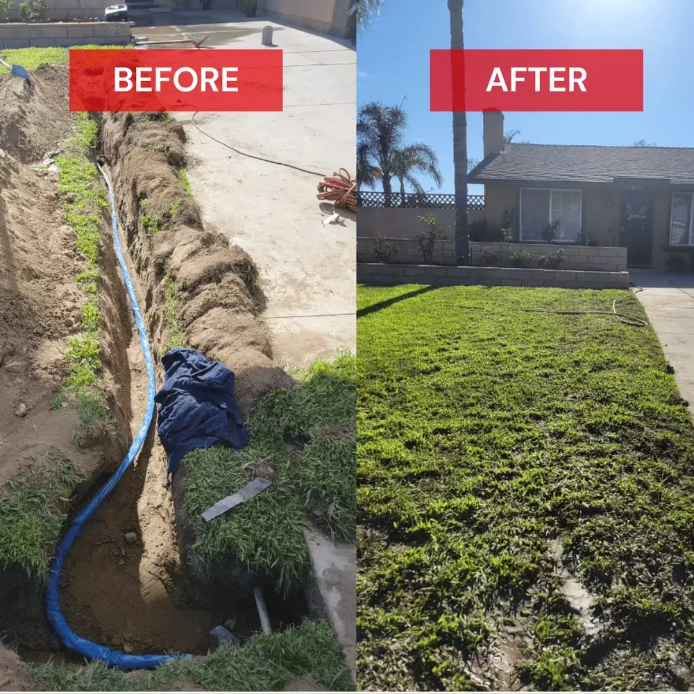 Slide of RedHead Rooter