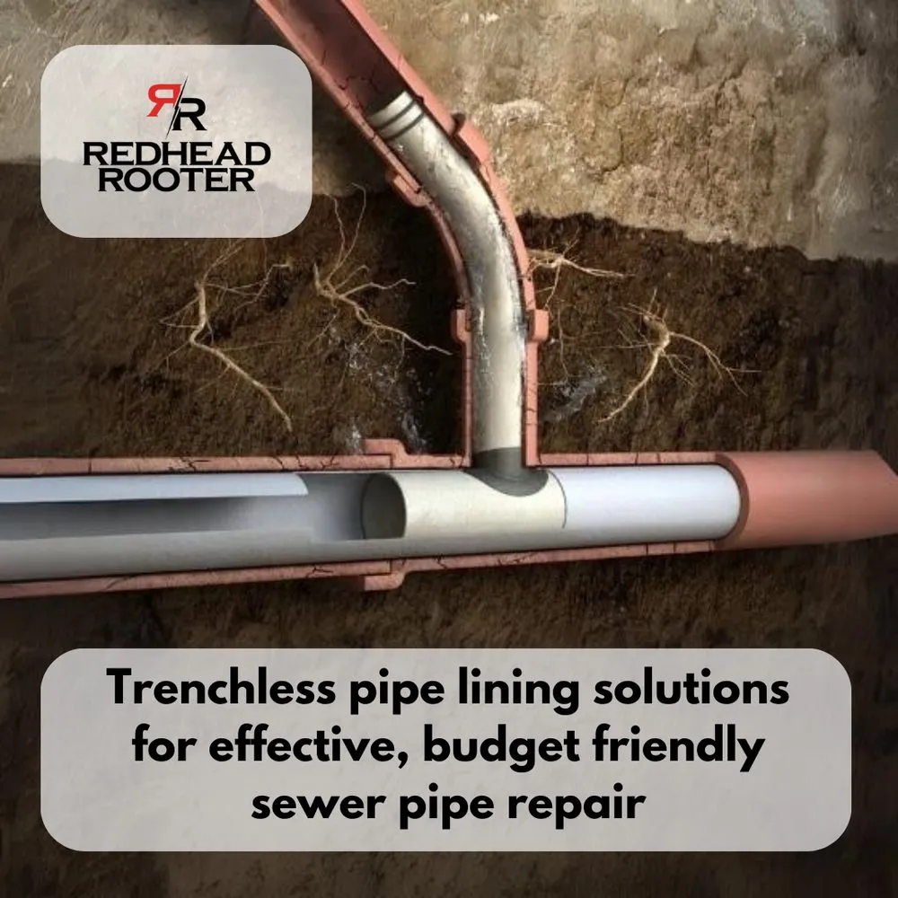 Slide of RedHead Rooter