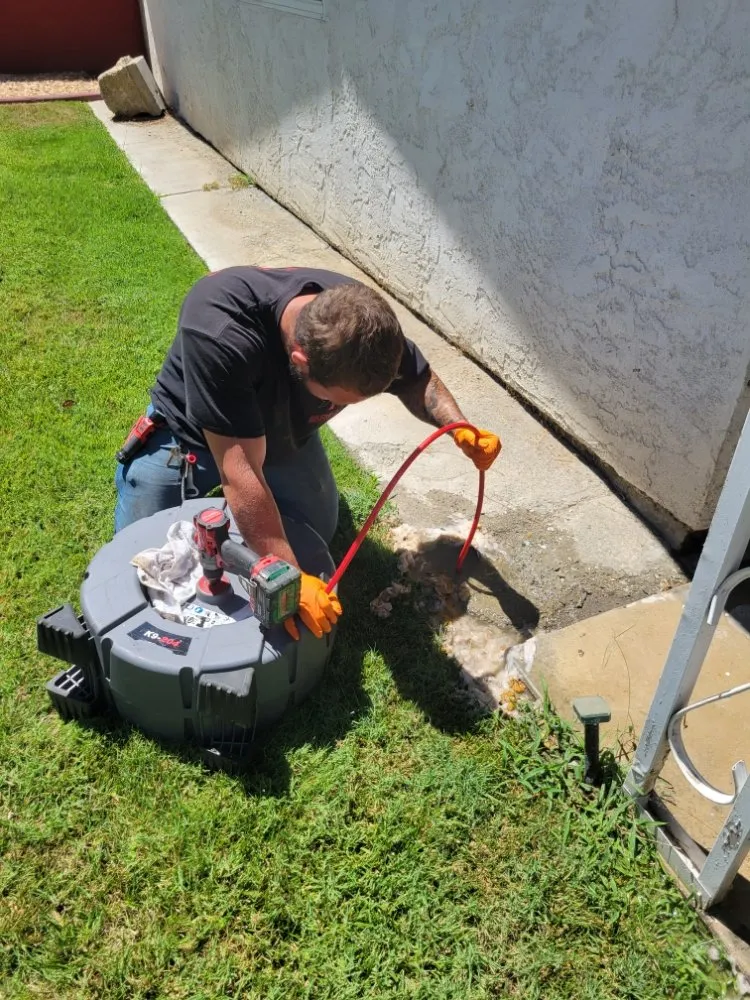 Slide of RedHead Rooter